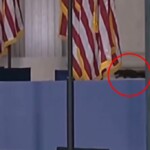 squirrel-spotted-onstage-before-kamala-harris’-concession-speech-—-and-internet-thinks-it’s-the-ghost-of-p’nut