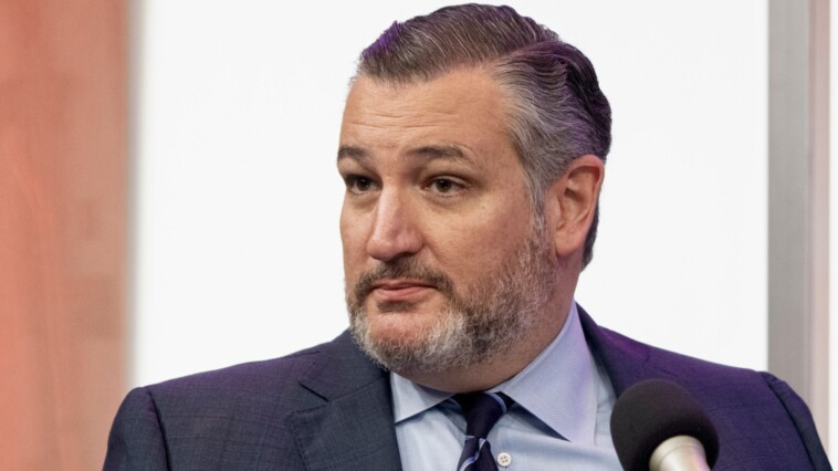 ted-cruz:-republicans-gave-democrats-an-‘a**-kicking-across-the-board’-in-2024