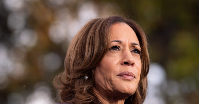 nolte:-voters-rejected-ruinous-democrat-policies,-not-kamala’s-word-salad