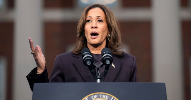 kamala’s-election-loss-looks-even-more-painful-as-$20m-problem-looms:-report