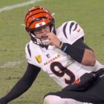 al-michael-fumes-over-two-missed-calls-on-decisive-bengals-ravens-play