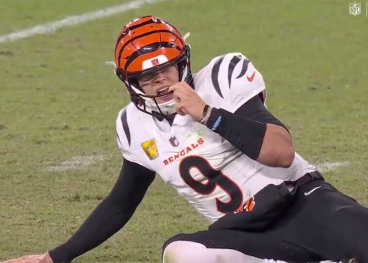 al-michael-fumes-over-two-missed-calls-on-decisive-bengals-ravens-play