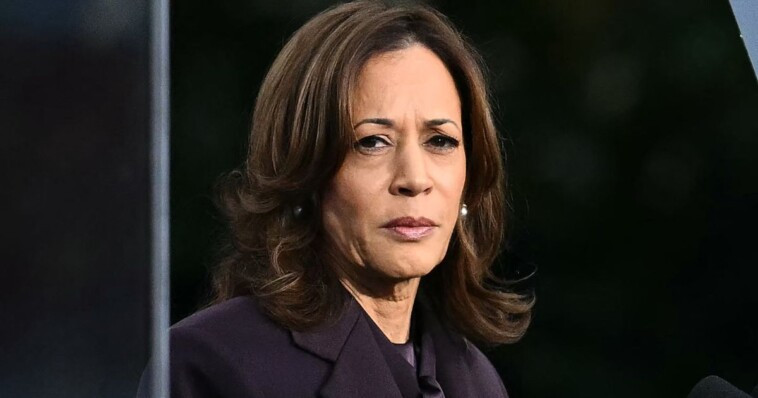 campaign-staffers-unhappy-with-what-kamala-told-them-in-post-election-meeting:-‘detached-from-the-reality-of-what-happened’