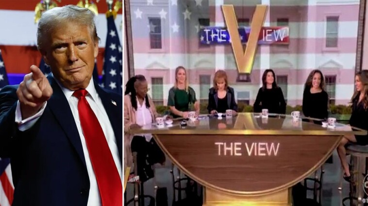 ‘the-view’-melts-down-over-trump’s-resounding-election-victory:-‘profoundly-disturbed’