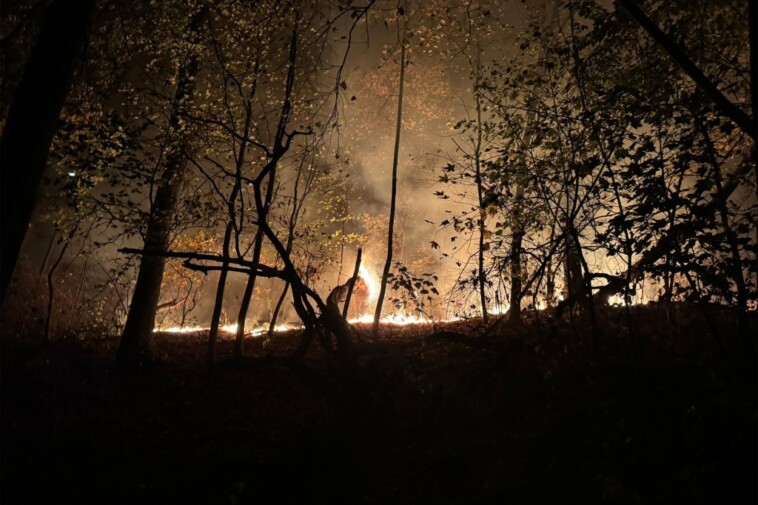 firefighters-battle-blaze-in-brooklyn’s-prospect-park-as-nyc’s-unprecedented-dry-stretch-continues