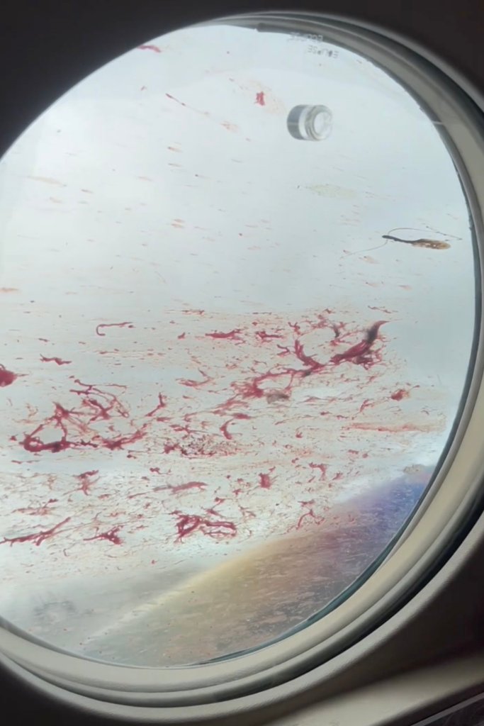 airplane-splattered-with-blood-after-propellers-butcher-flock-of-alaska’s-state-bird:-gruesome-pics