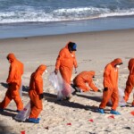 mysterious-black-balls-on-sydney-beaches-revealed-to-be-mini-blobs-of-poop:-‘absolutely-disgusting’