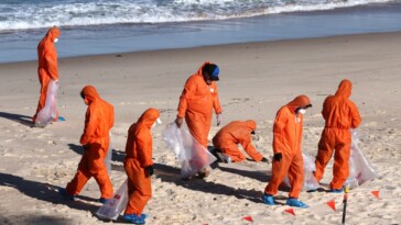 mysterious-black-balls-on-sydney-beaches-revealed-to-be-mini-blobs-of-poop:-‘absolutely-disgusting’