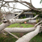 desantis,-house-gop-investigating-fema-after-official-told-relief-workers-to-ignore-trump-supporters