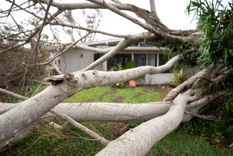 desantis,-house-gop-investigating-fema-after-official-told-relief-workers-to-ignore-trump-supporters