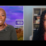 joy-reid-suggests-democrats-avoid-trump-supporting-relatives-during-the-holidays-(video)