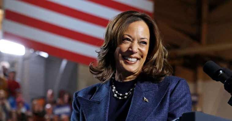 ‘chaos-has-not-ended-just-yet’:-cnn-guest-floats-idea-that’ll-make-kamala-more-powerful-than-ever-before