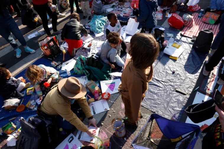 anti-israel-protesters-bring-kids-to-‘rage-playdate’-outside-schumer’s-home,-clash-with-nypd-for-lacking-permit