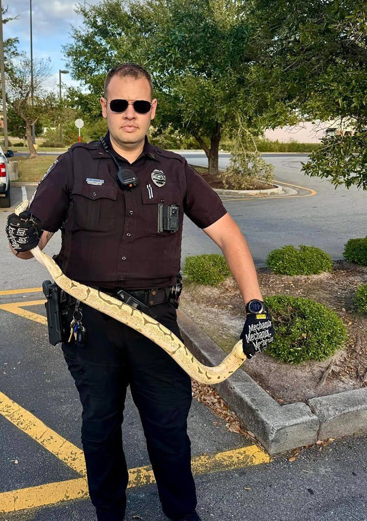 missing-python-discovered-in-north-carolina-chili’s-parking-lot-reunited-with-owner:-‘my-baby-girl’