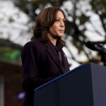 kamala-harris-committed-‘political-malpractice’-by-not-going-on-joe-rogan-podcast,-andrew-yang-says