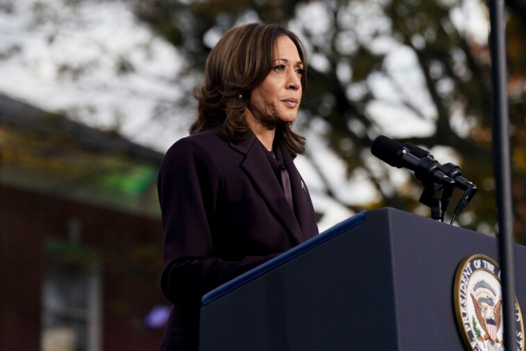 kamala-harris-committed-‘political-malpractice’-by-not-going-on-joe-rogan-podcast,-andrew-yang-says