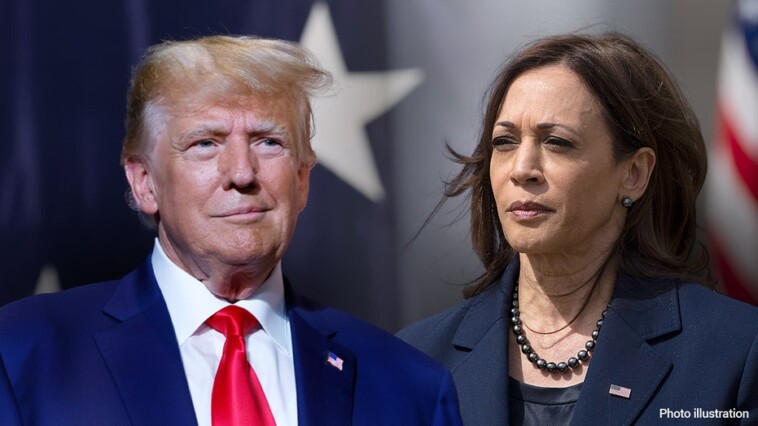 trump-teases-he’d-bail-out-harris-campaign-debts-for-sake-of-‘unity’-in-latest-troll