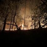 lefty-nyc-comptroller-brad-lander-blames-trump-for-prospect-park-fire