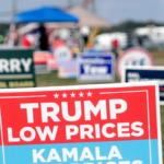 fema-says-it-has-fired-employee-who-directed-disaster-crew-to-ignore-homes-with-trump-signs