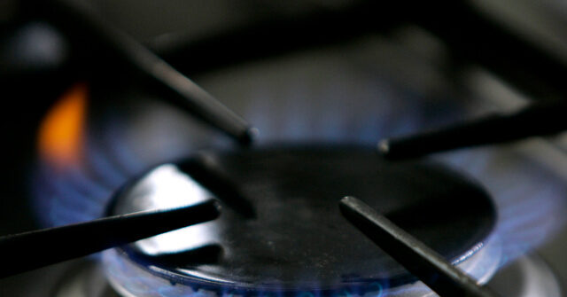 washington-state-voters-pass-initiative-to-protect-natural-gas-stoves