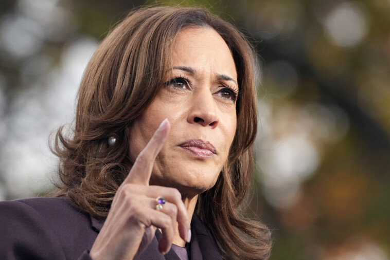 furious-dem-official-brands-kamala-harris’-campaign-a-‘$1-billion-disaster’-in-foul-mouthed-tirade