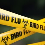 human-bird-flu-case-presumed-in-canada,-teenage-patient-is-hospitalized