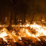 why-firefighters-are-struggling-to-bring-the-jennings-creek-fire-in-ny-and-nj-under-control