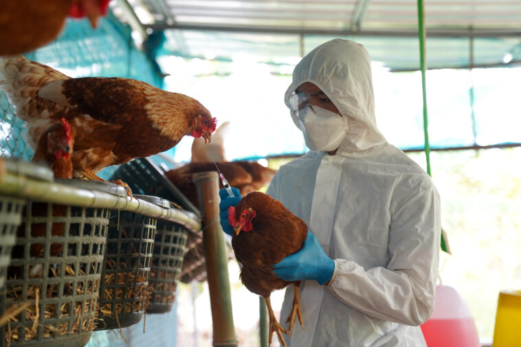 canada-detects-first-presumptive-human-h5-bird-flu-case:-‘a-rare-event’