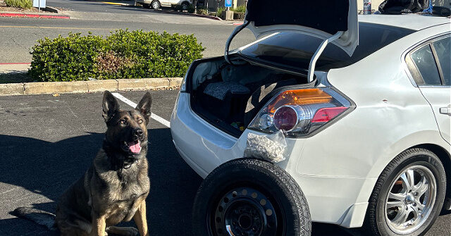 photos:-california-k-9-sniffs-out-2.2-pounds-of-suspected-fentanyl-hidden-in-car