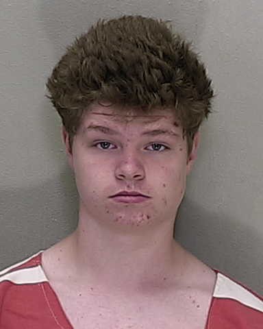 florida-teen-pleads-guilty-to-sexually-assaulting,-beating-91-year-old-woman