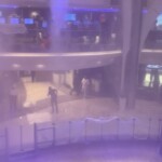 fog-machine-triggers-sprinklers-on-royal-caribbean-cruise-ship,-soaking-passengers-in-20-minute-‘downpour’