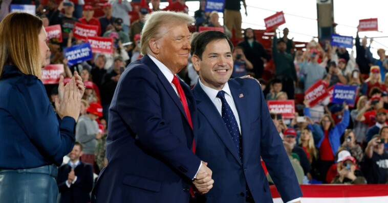 trump-to-pick-senator-marco-rubio-for-crucial-cabinet-position:-report