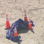 florida-police-launch-investigation-after-severed-human-head-washes-ashore-on-miami-beach