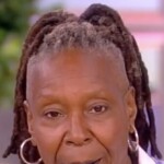 whoopi-goldberg-endorses-harris-voters-avoiding-holidays-with-trump-supporting-family-—-‘it-might-not-be-the-time-to-gather’