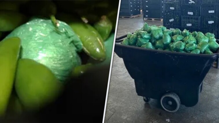 more-than-$31m-in-meth-concealed-in-shipment-of-peppers-seized-at-texas-mexico-border