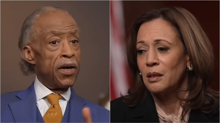 kamala-harris-campaign-funneled-$500k-to-al-sharpton’s-nonprofit-just-weeks-before-softball-interview-with-race-grifter-msnbc-host:-report