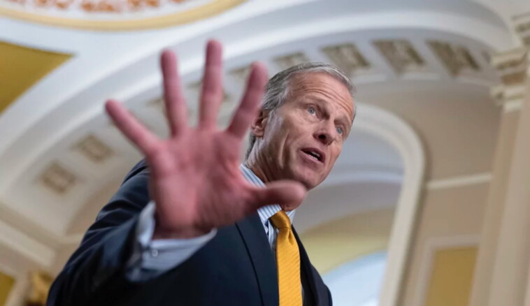 breaking-:-john-thune-elected-senate-majority-leader-in-blow-to-maga-conservatives-–-mitch-mcconnell-lackey,-trump-hater,-and-war-monger-wins-majority-leader