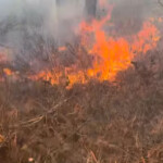 long-island-firefighter-charged-with-setting-brush-fires-during-driest-period-in-ny-for-160-years