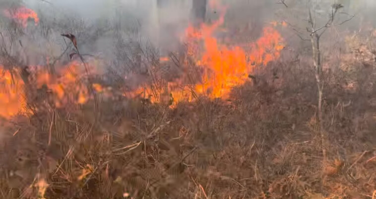 long-island-firefighter-charged-with-setting-brush-fires-during-driest-period-in-ny-for-160-years