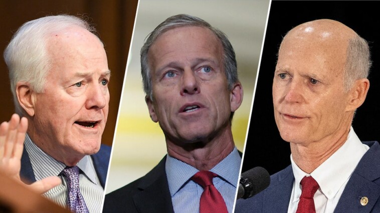 rick-scott-knocked-out-of-senate-leader-race-on-first-ballot-as-thune-and-cornyn-advance