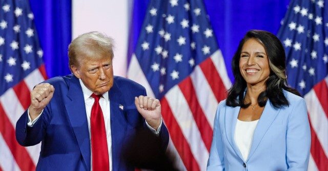 trump-selects-tulsi-gabbard-to-serve-as-director-of-national-intelligence