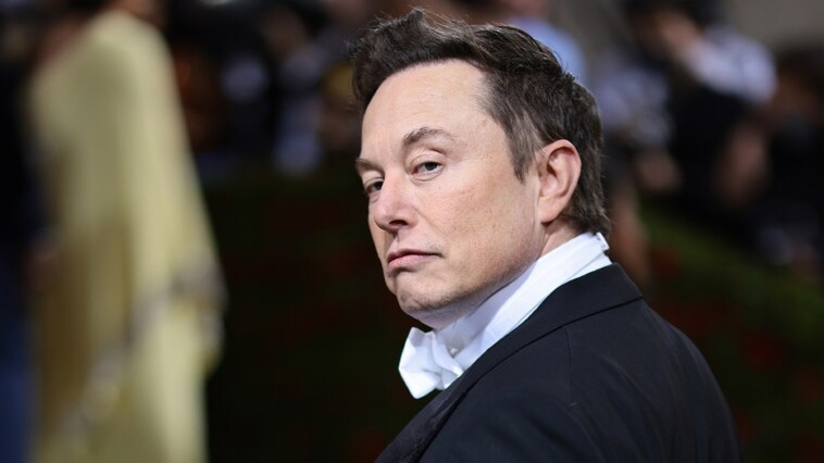 elon-musk’s-pro-trump-stance-causes-progressives-to-flee-x-for-liberal-safe-space