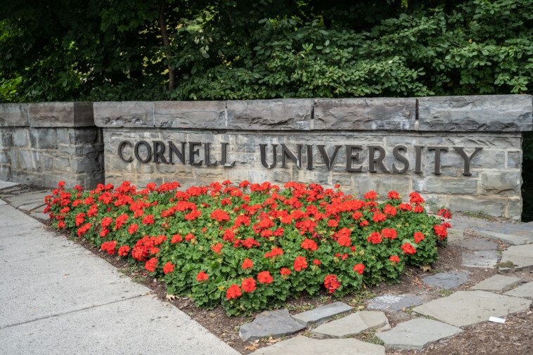 cornell-university-suspends-longstanding-frat-over-police-probe-into-alleged-sexual-assault:-‘deeply-disturbing’