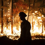 boy,-14,-charged-with-intentionally-setting-52-acre-nj-forest-fire