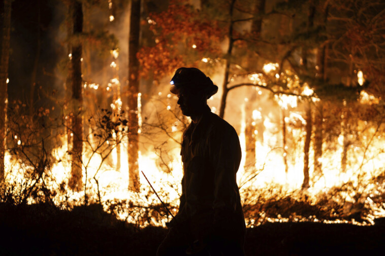 boy,-14,-charged-with-intentionally-setting-52-acre-nj-forest-fire