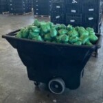 border-patrol-seize-more-than-$31m-of-meth-hidden-in-shipment-of-peppers-at-texas-border