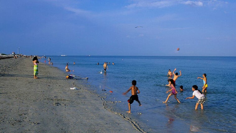 miami-dade-police-investigating-decapitated-human-head-that-washed-ashore-on-popular-south-florida-beach