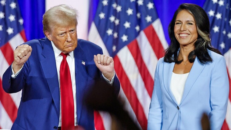 democrats-trash-tulsi-gabbard-after-trump-taps-her-for-dni-post