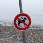 welsh-government-advised-to-create-dog-free-zones-to-combat-racism