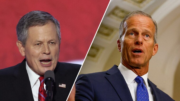 trump-privately-backed-john-thune-in-tight-leader-race:-sen-steve-daines